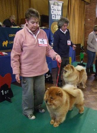 The Chow Chow Club